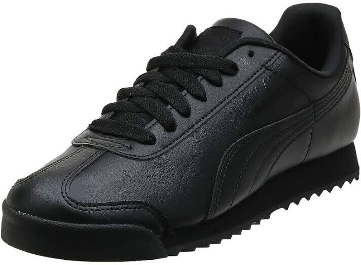 roma basic -C6