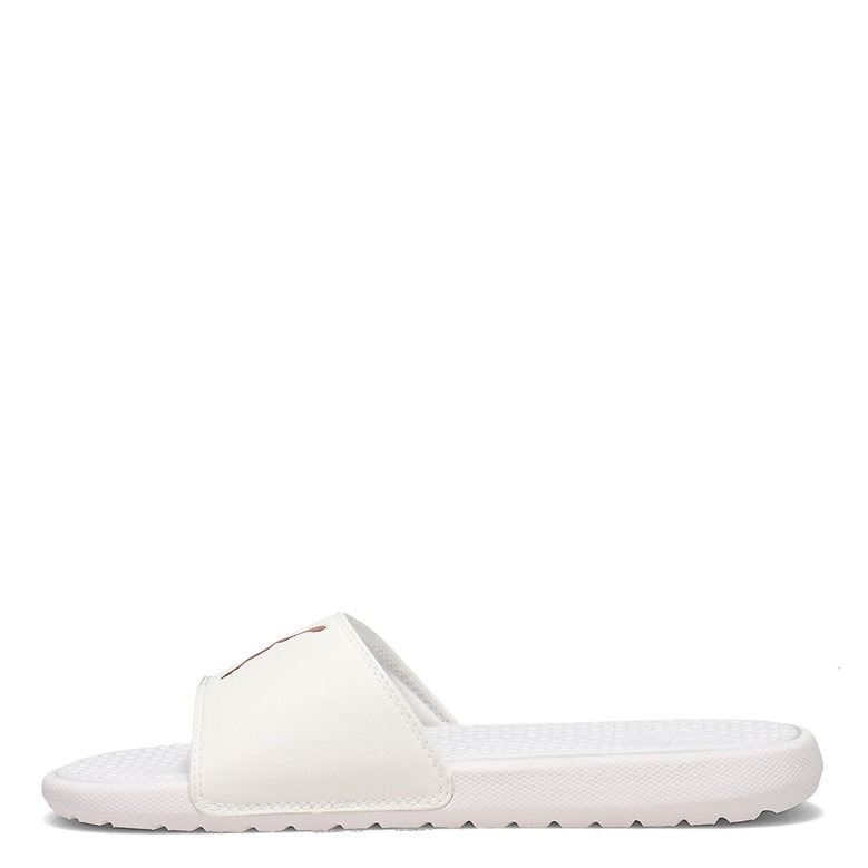 cool cat sport bx wns -D22