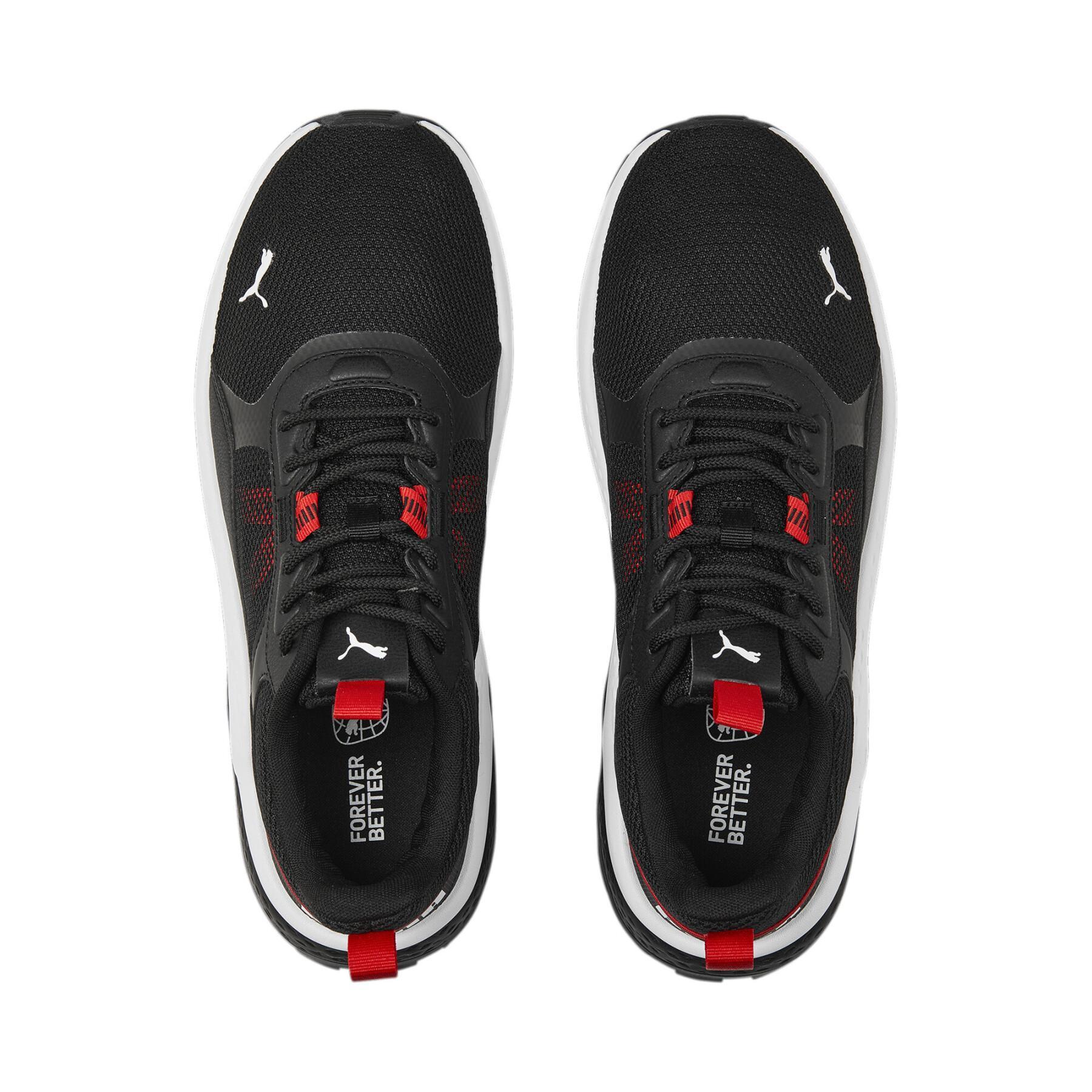anzarun 2.0 -C6