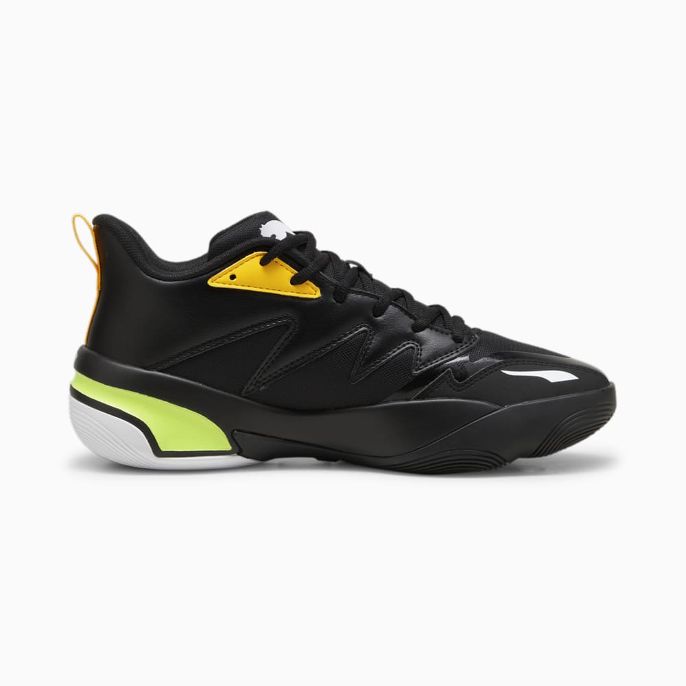 PUMA GENETICS -C2