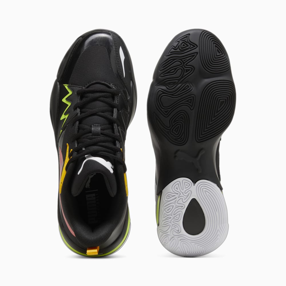 PUMA GENETICS -C2