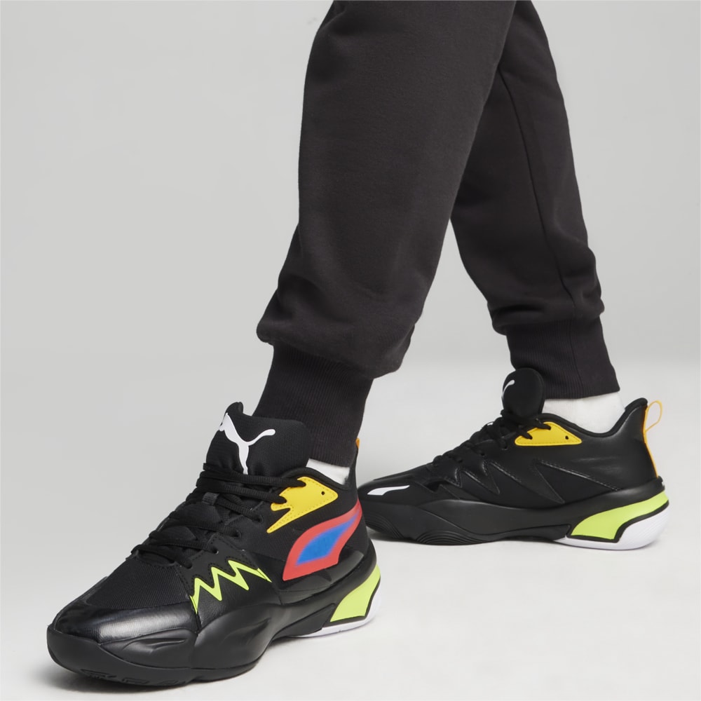 PUMA GENETICS -C2