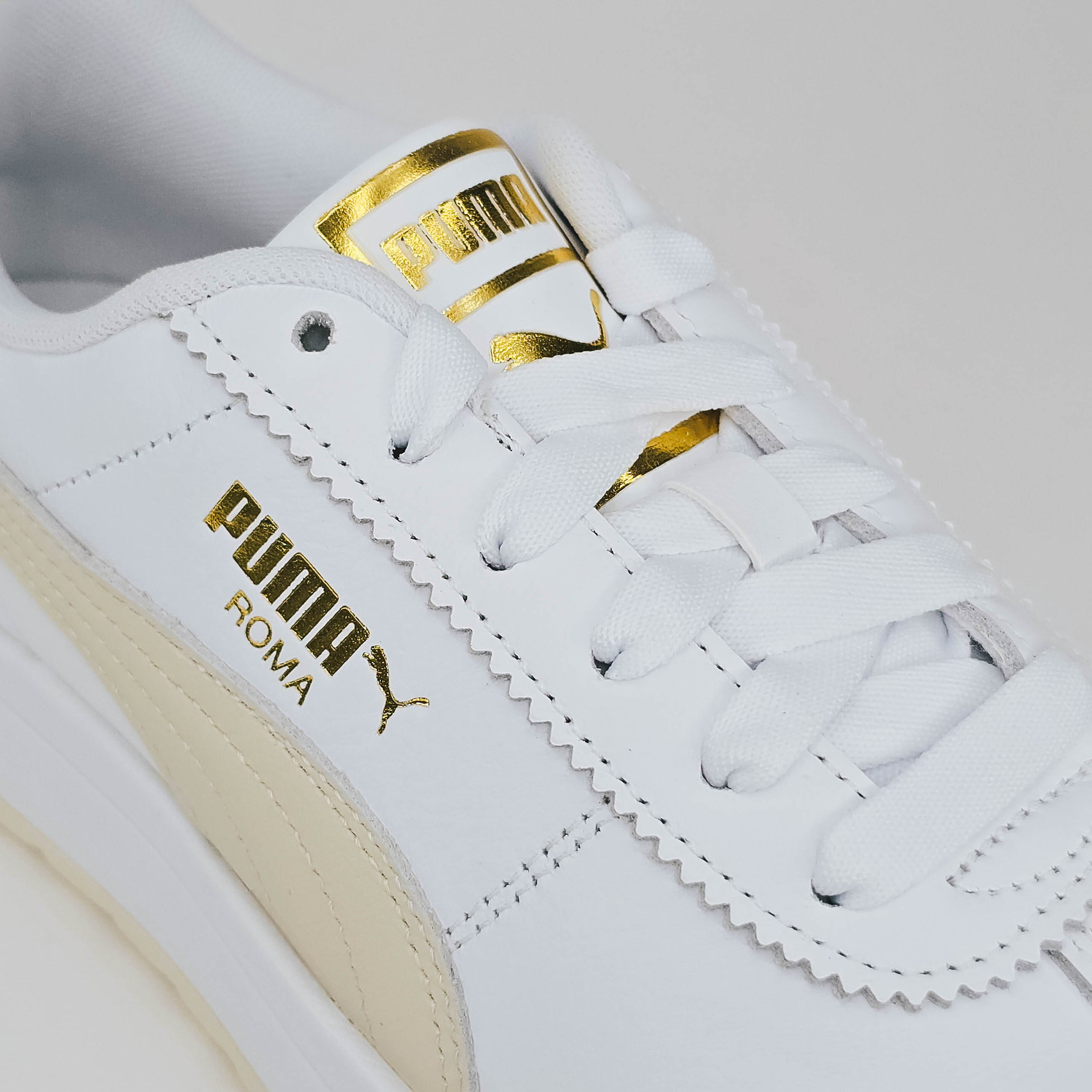 ROMA FEMININE WNS -G6