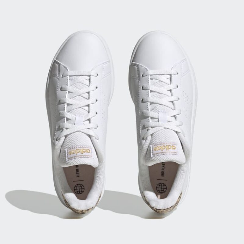 advantage base - Image 5
