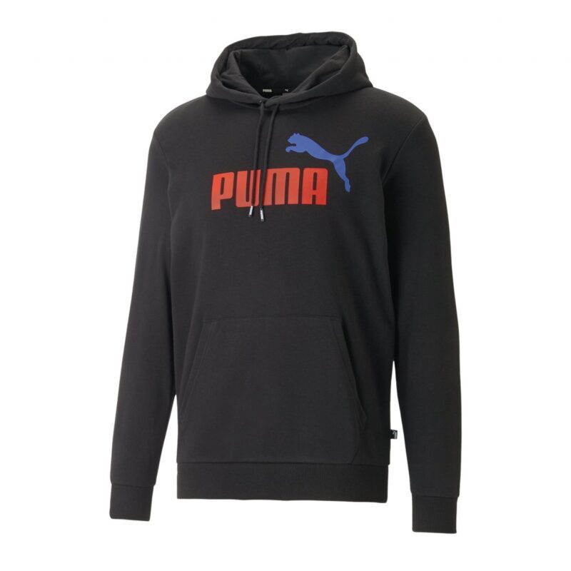 ess+ 2 col big logo hoodie tr