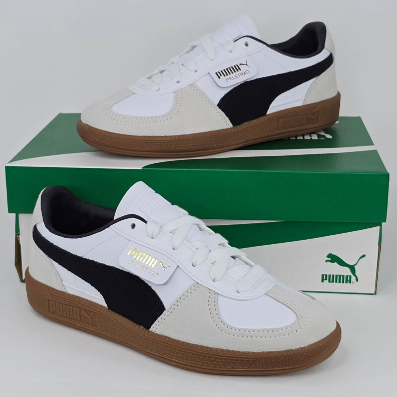 PALERMO LTH JR - Image 10
