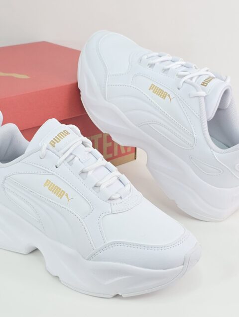 CASSIA 2.0 L WNS -D23