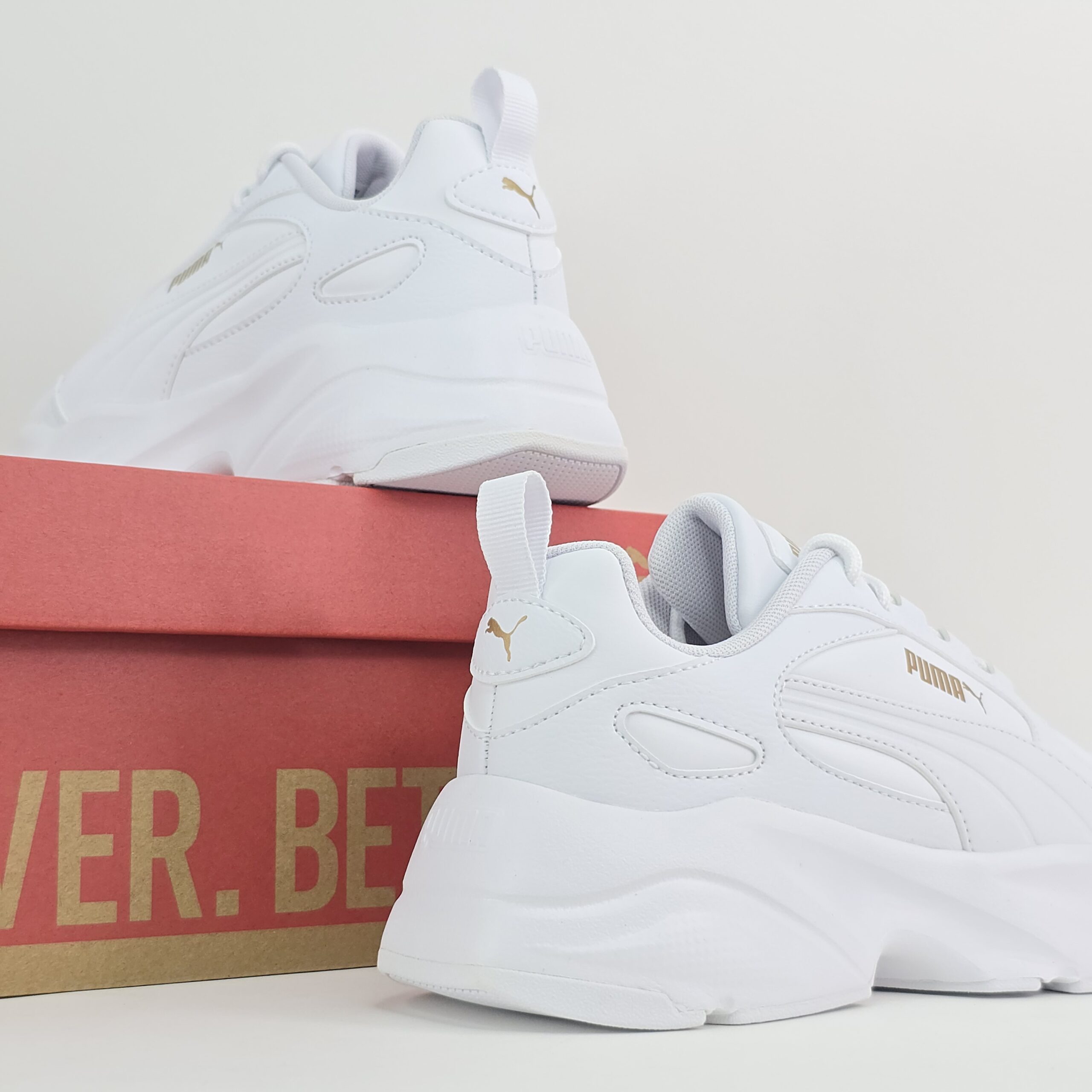 CASSIA 2.0 L WNS -D23 - Imagen 3