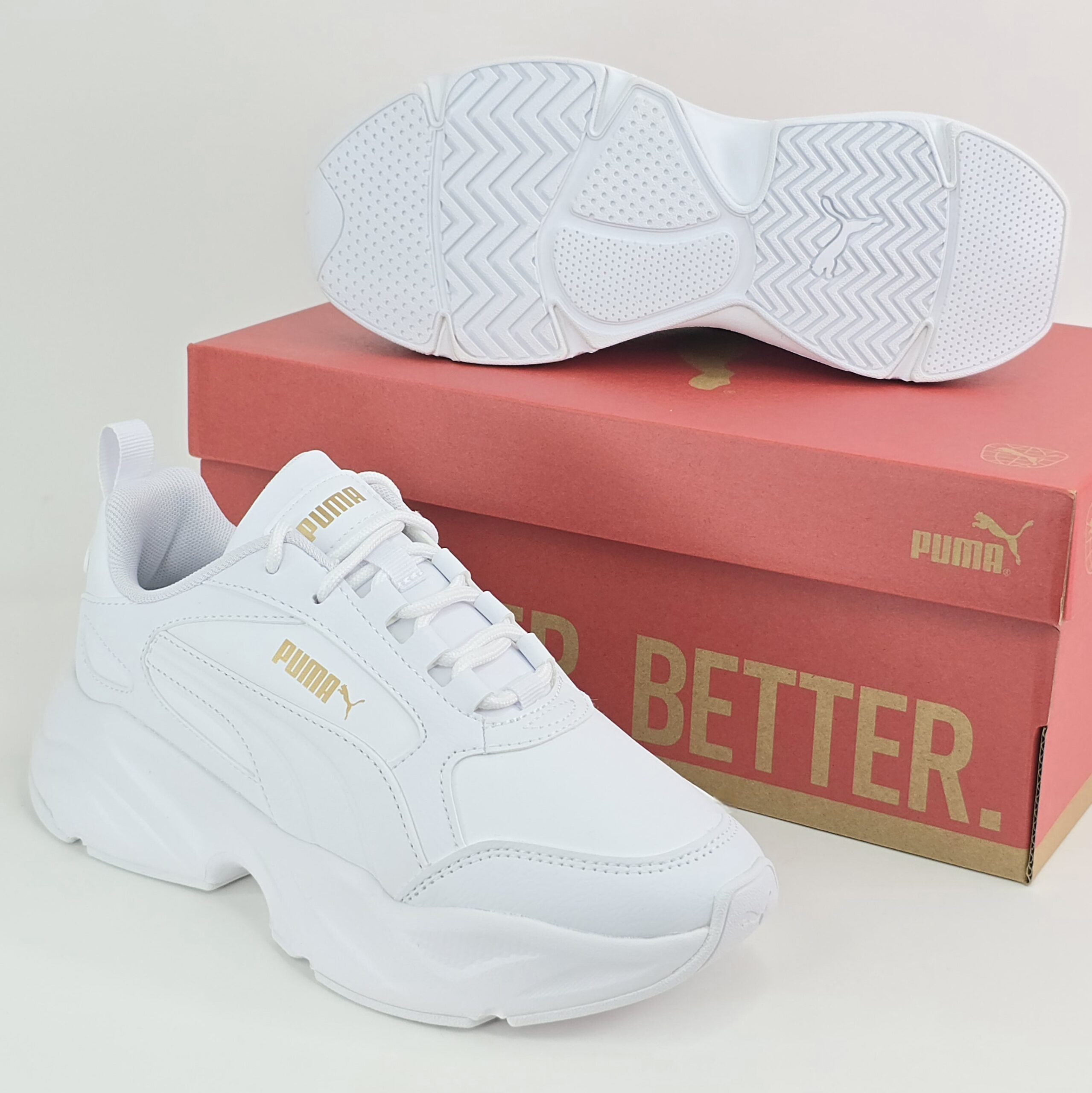 CASSIA 2.0 L WNS -D23 - Imagen 5