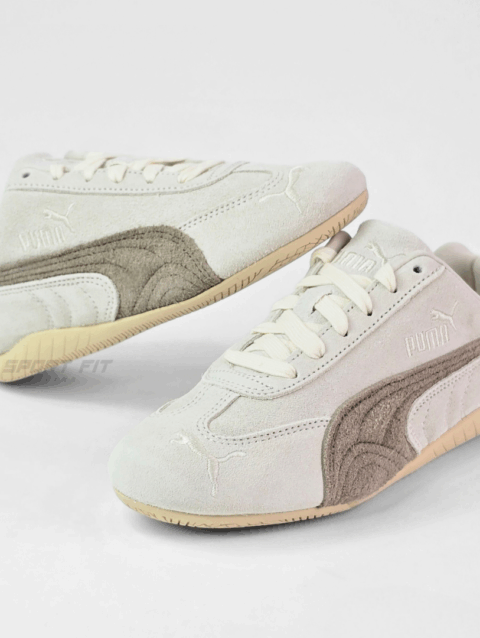 SPEEDCAT ELEVATED WNS