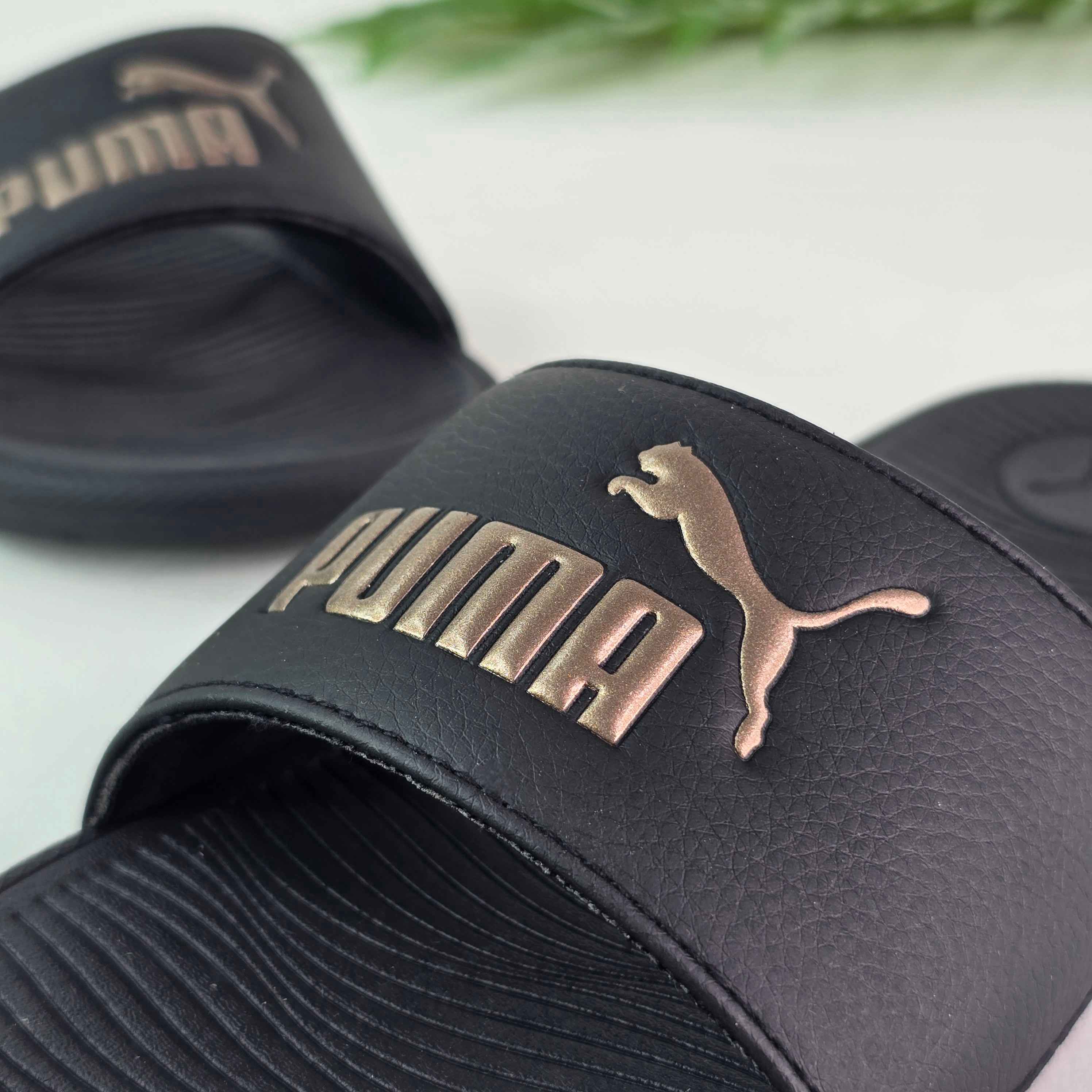 COOL CAT 2.0 WNS -G19