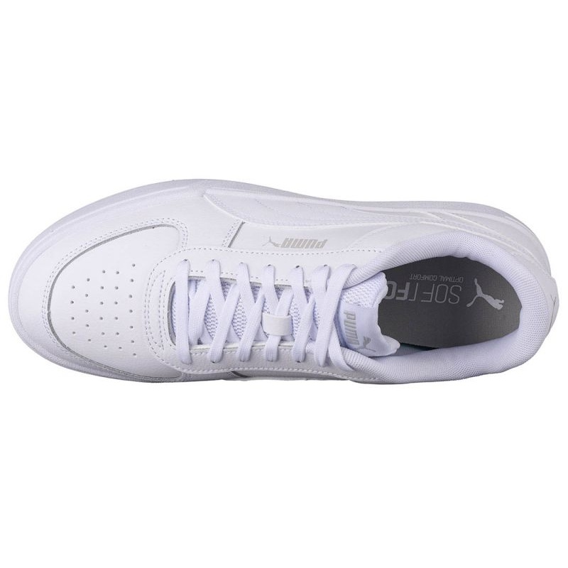 puma caven - Imagen 3