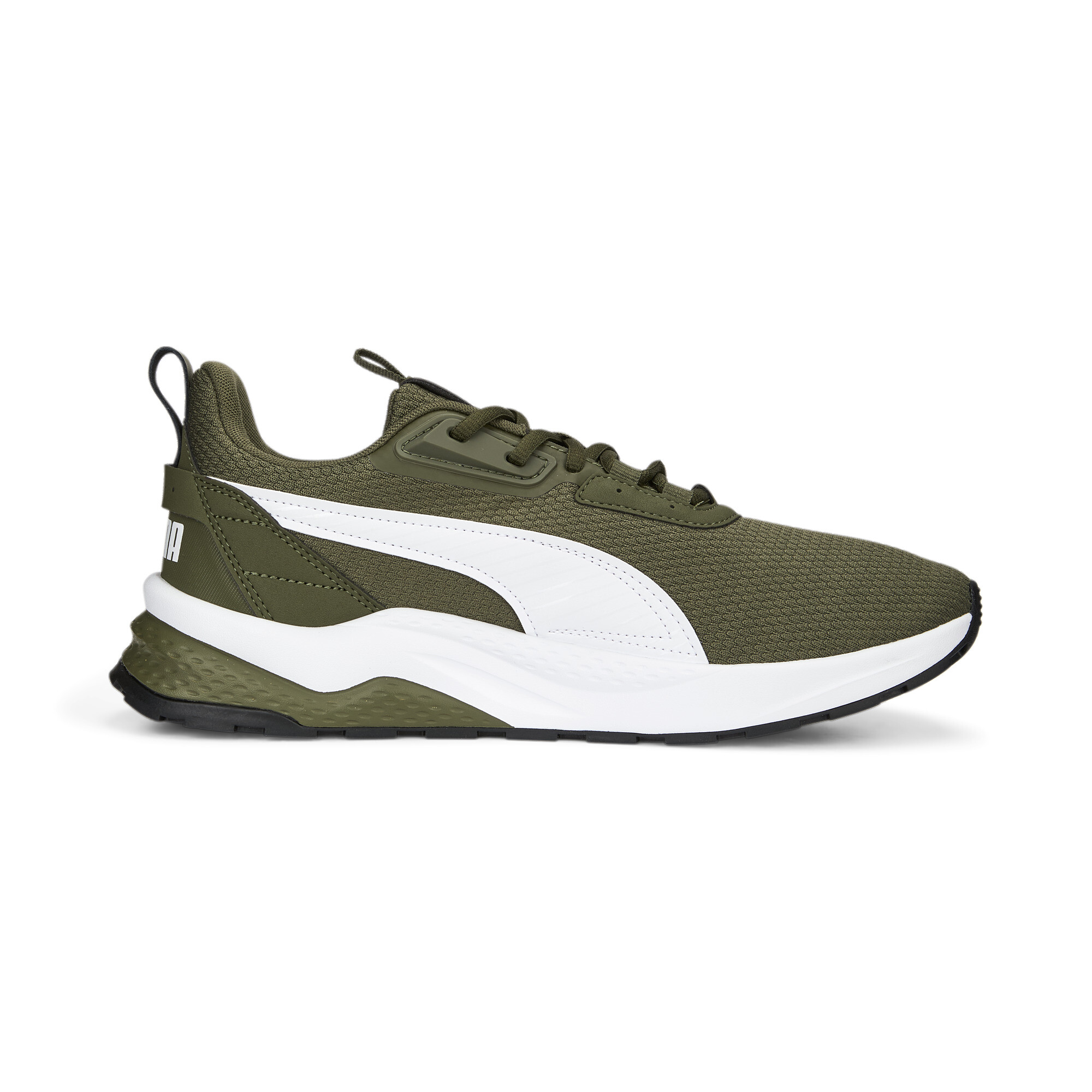 anzarun fs 2.0